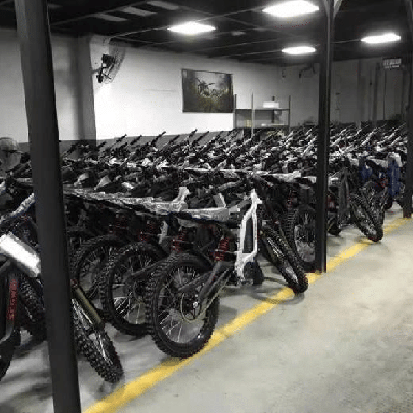 SEGWAY DIRT EBIKE X260