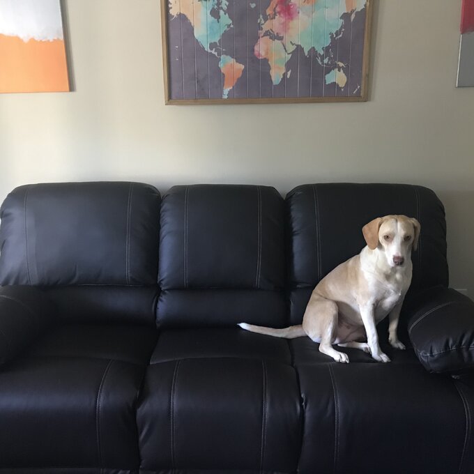 【Furniture】Edgar 81'' Vegan Leather Sofa