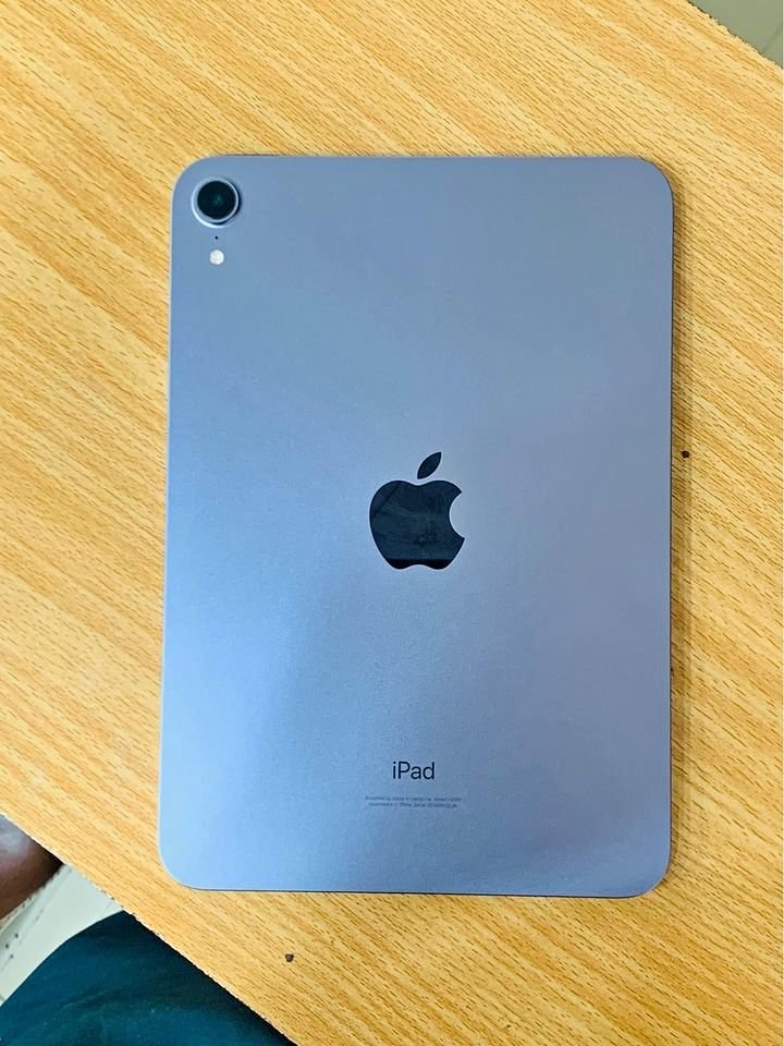 Apple iPad mini 2020 (8.3-inch, Wi-Fi + Cellular) – (6th generation)